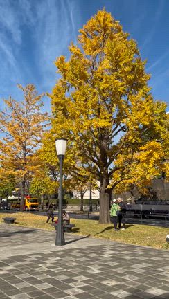 ３連休最終日の記事動画