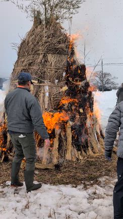 賽の神の記事動画