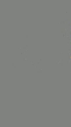 モーニングメッセージ！の記事動画