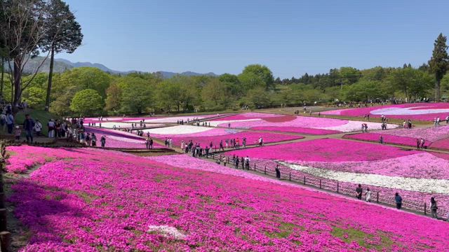 感じられるって、素晴らしいの記事動画