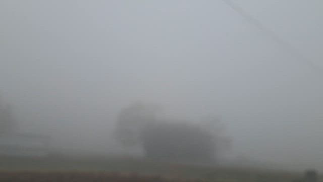 健康診断でした。の記事動画