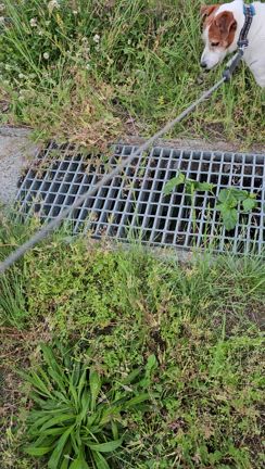 朝から怖かった出来事の記事動画