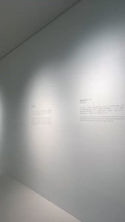 “素敵”という感覚の記事動画