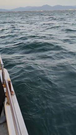 2025.11.22  1便　青物/サワラキャスティングの記事動画