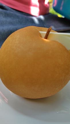 梨の味ってどんな味？創造力の磨きかたの記事動画