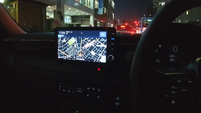 兄さんと奥多摩フィッシングセンター再び…もの記事動画