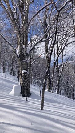 男助山（2/22）の記事動画