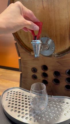 ラウンジ②の記事動画