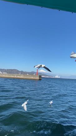 【静岡帰省編】富士山と海と〜でよくばり旅♡の記事動画