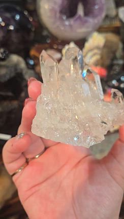 精霊たちも大暴れ(笑)！新春初売りイベントのお知らせです！！✡️の記事動画