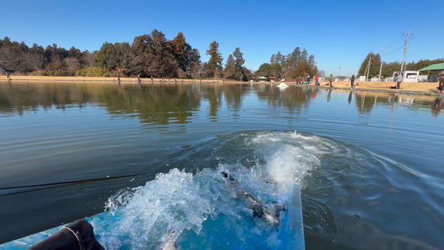 放流予定が一部変更になりましたの記事動画