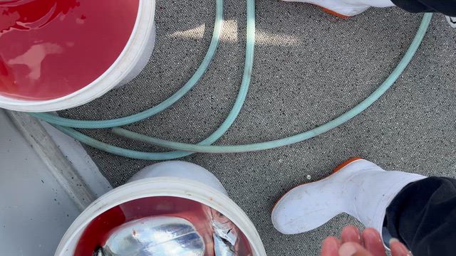 タチウオ〜ライトジギングの記事動画