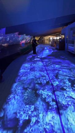 ナイトアクアリウムの記事動画