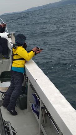 １２月１３日太刀魚＆根魚タイ✨の記事動画