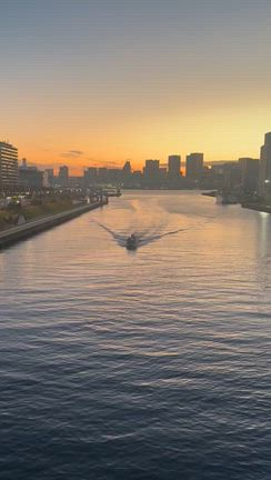 夕方のお散歩❗️の記事動画