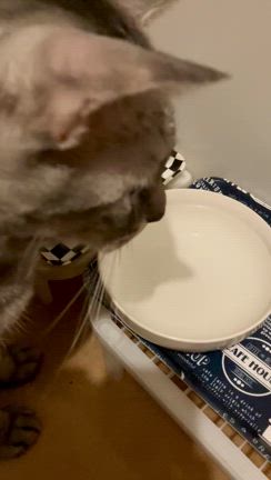 お水飲ませてまっちんの記事動画