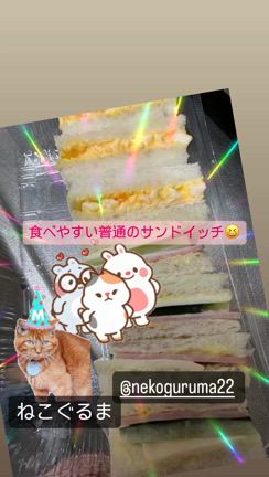 2024/02/05の記事動画