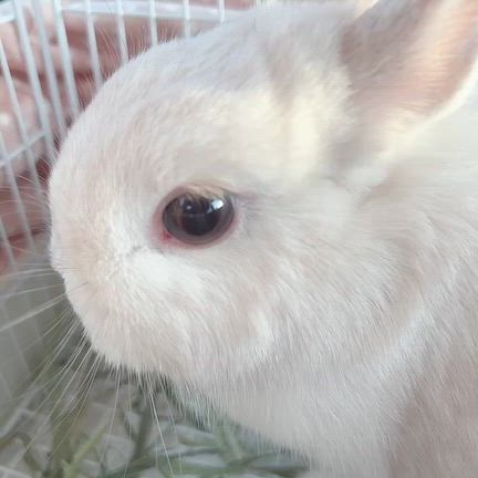 通院4日目の記事動画