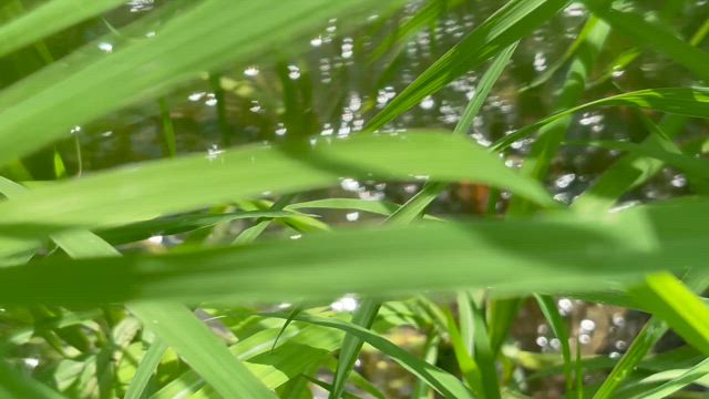 原田龍二 レア 精霊がいる282❗️ | ニンゲン・原田龍二オフィシャルブログ