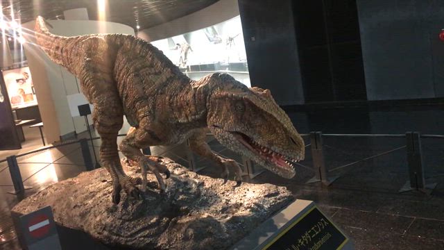 ネイル＆最近の色々の記事動画