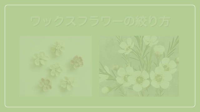 お花絞り動画はこんなのの記事動画