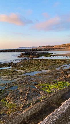 キャンプ女子シーズンイン！お花見キャンプ千葉県館山市〈人魚の湯〉への記事動画