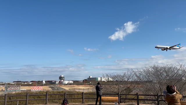 酒々井町 タンメン トナリの記事動画