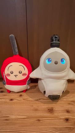 LOVOTの記事動画