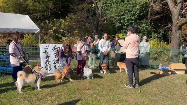 楽しみにしていた和市〜なごみいち〜の記事動画