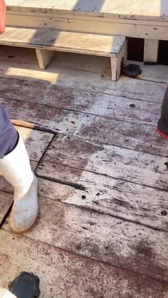 11.30日りき丸キャスティングの記事動画