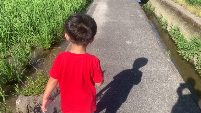 夏休みにの記事動画