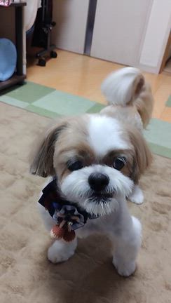 足るを知る？&noteの記事動画