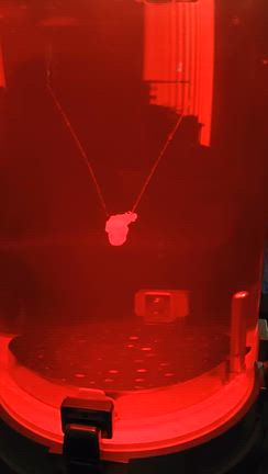 万博万歳✨の記事動画