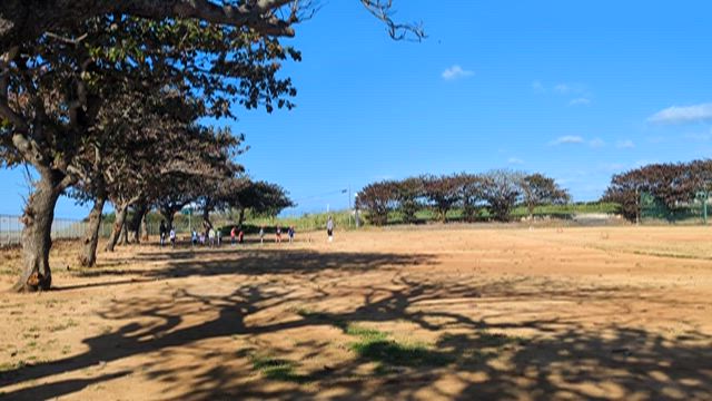 リベンジの記事動画