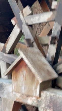 本日は桜見学をの記事動画