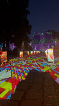 栃木県足利市 灯り物語の記事動画