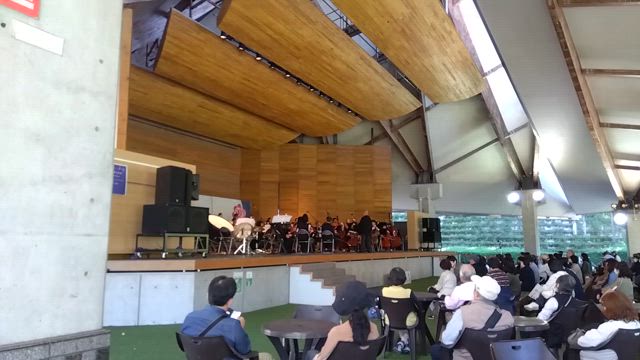 秋のバラ祭り2024o(≧▽≦)oの記事動画