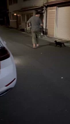 舞鶴にゃんこ部発足の記事動画