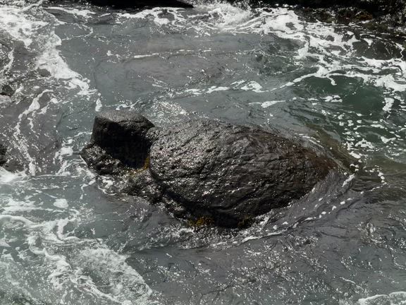 江島神社への道１４亀石の記事動画