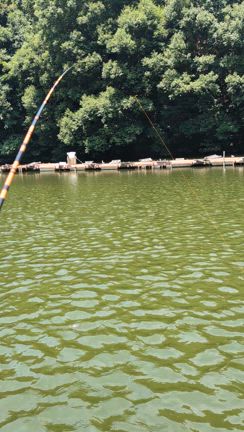 清遊湖でカッツケ釣りの記事動画