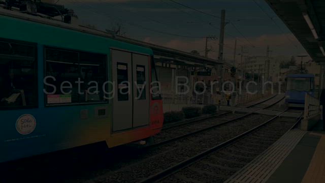 行ってきましたぁ。の記事動画