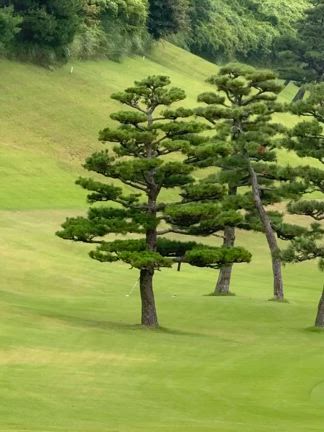 2025/08/07の記事動画