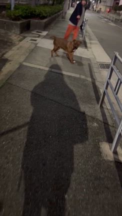 えらいぞーの記事動画