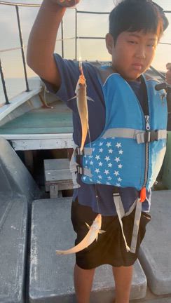 キス爆釣りの記事動画