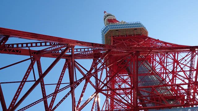 鯉登ファミリーの鯉のぼりの記事動画