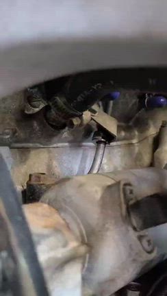 ニダボ (後編)の記事動画