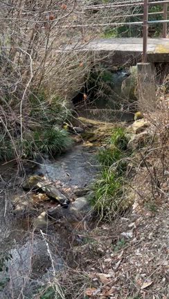 その道のプロには敵わないの記事動画