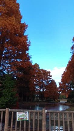 庄内緑地公園 散策(^^)の記事動画