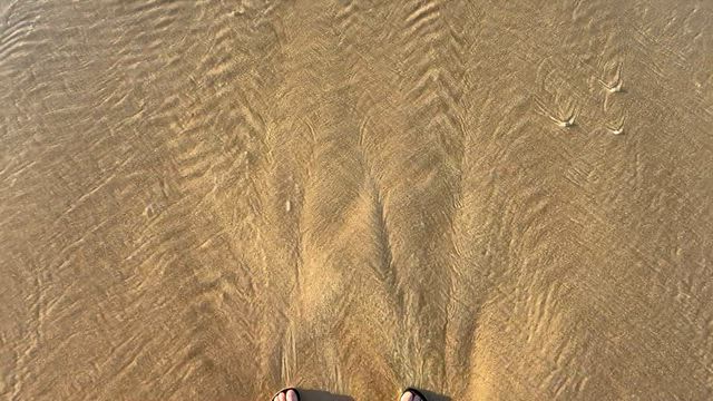 朝の海の記事動画