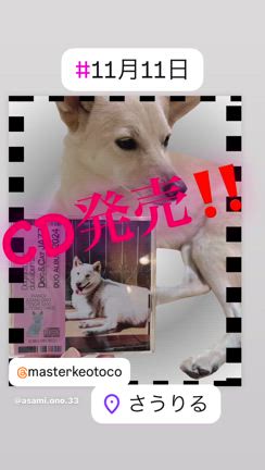 CD 遂に！！の記事動画